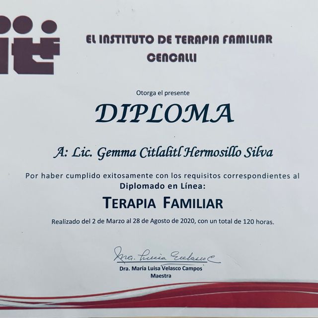 Ampliar imagen: certificate 11