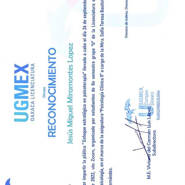 Ampliar imagen: certificate 16