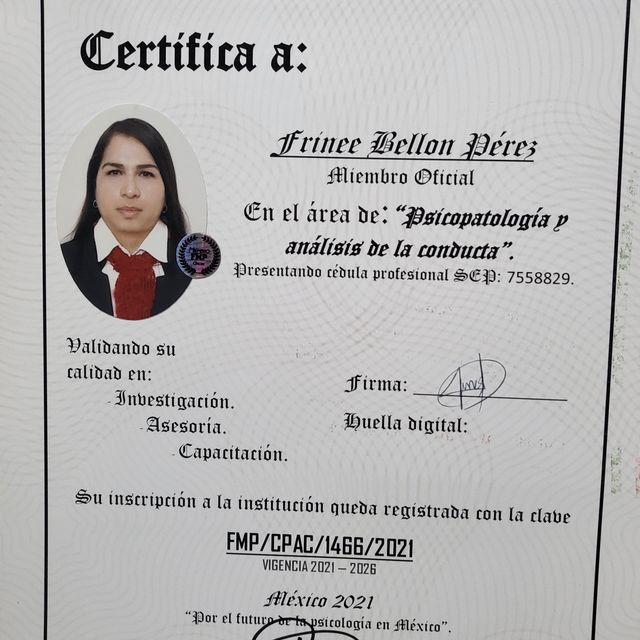 Ampliar imagen: certificate 1