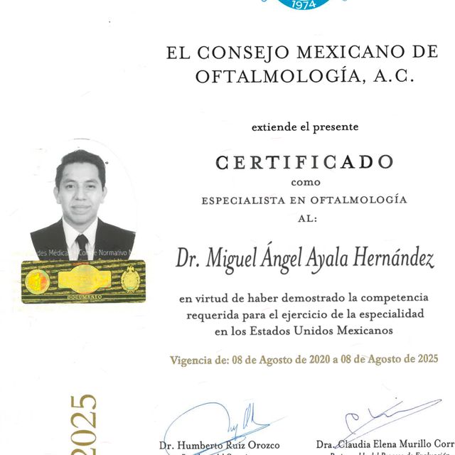 Ampliar imagen: certificate 3