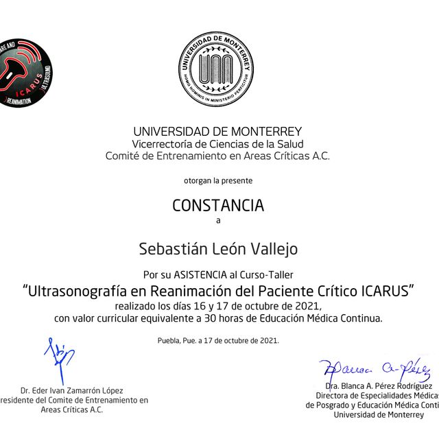 Ampliar imagen: certificate 11
