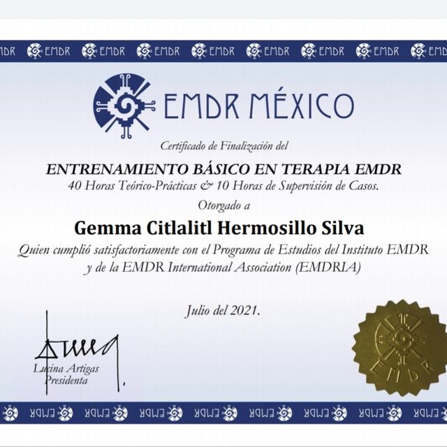 Ampliar imagen: certificate 4