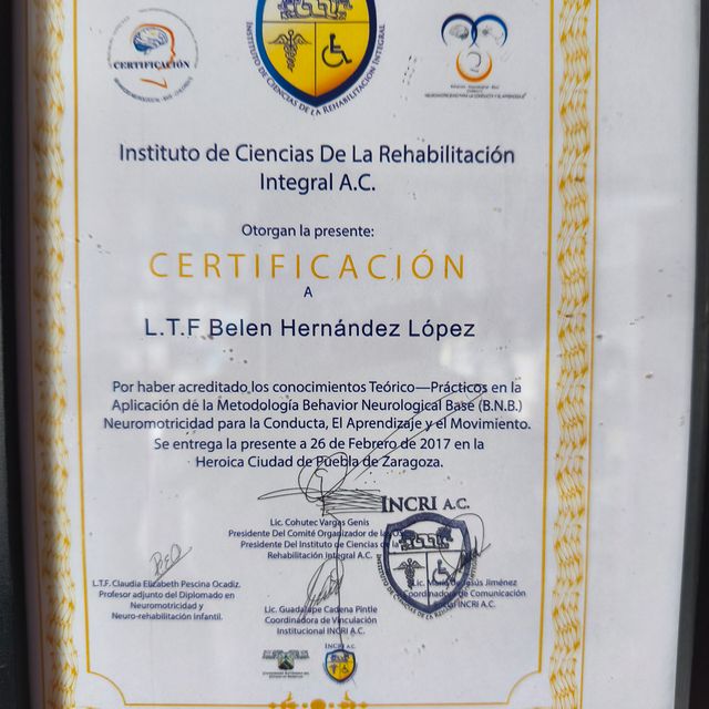 Ampliar imagen: certificate 1