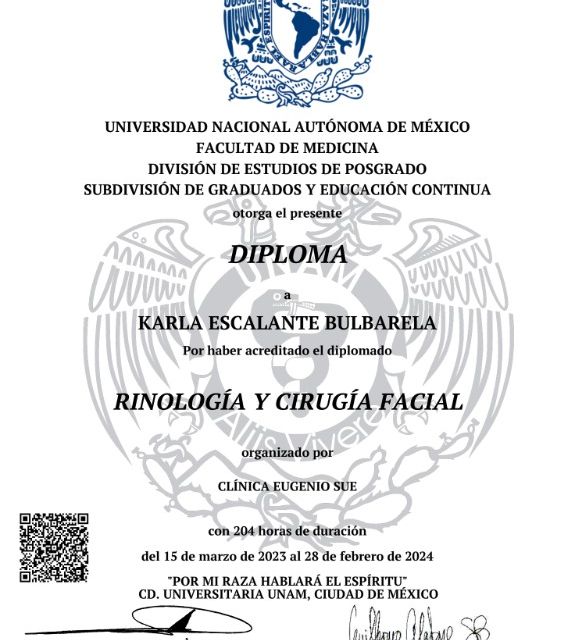 Ampliar imagen: certificate 3