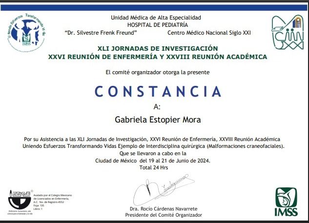 Ampliar imagen: certificate 3