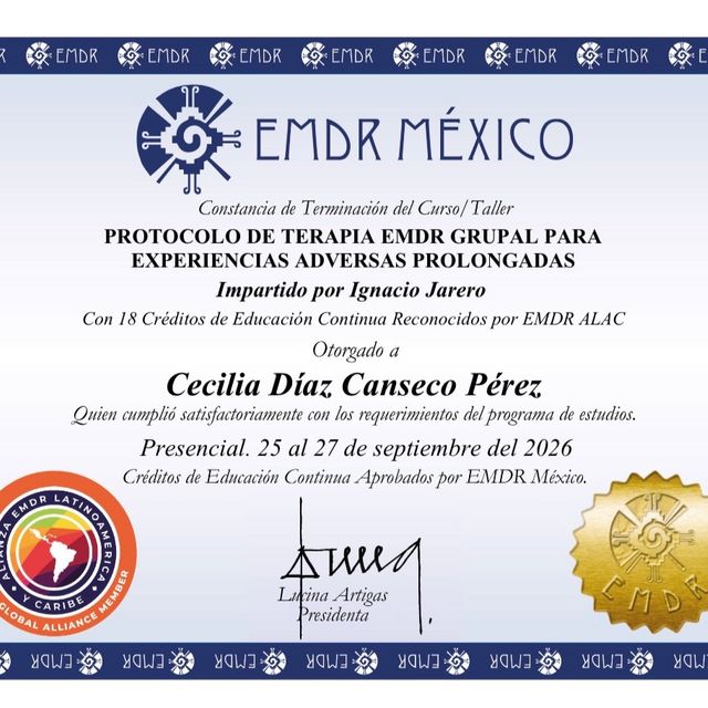 Ampliar imagen: certificate 9