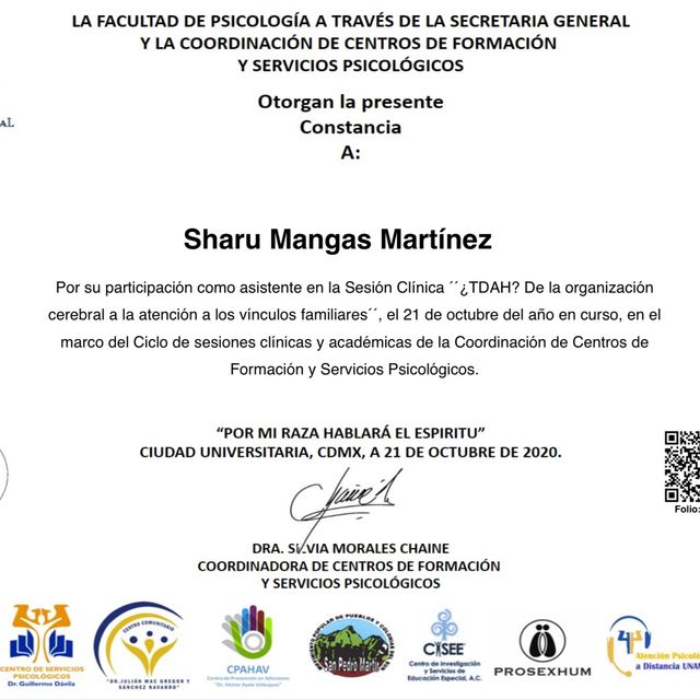 Ampliar imagen: certificate 5