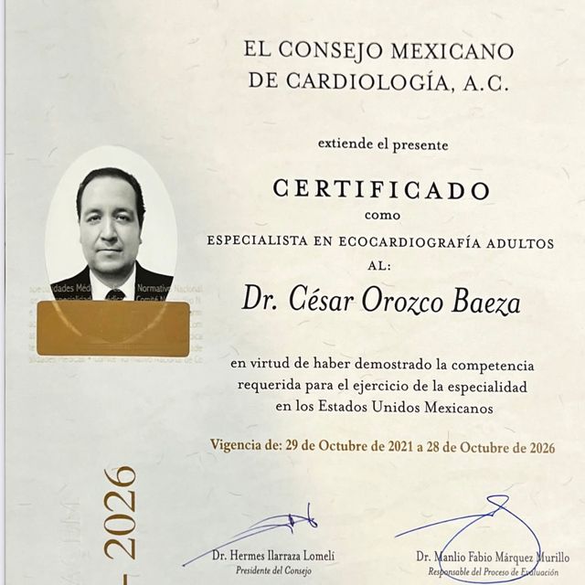Ampliar imagen: certificate 3