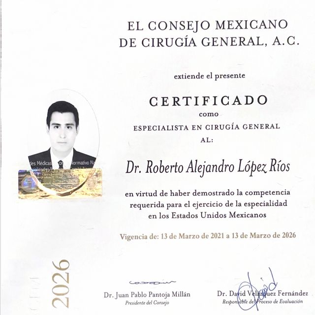 Ampliar imagen: certificate 1
