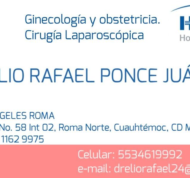 Ampliar imagen: certificate 6