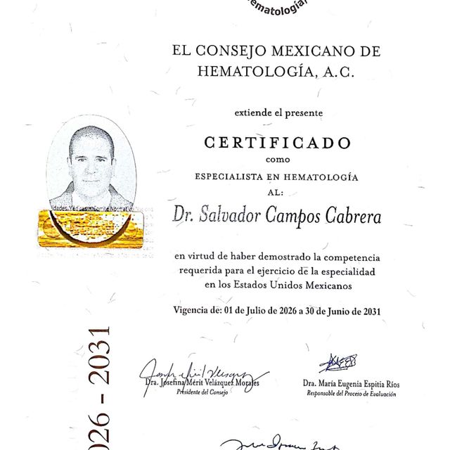 Ampliar imagen: certificate 2