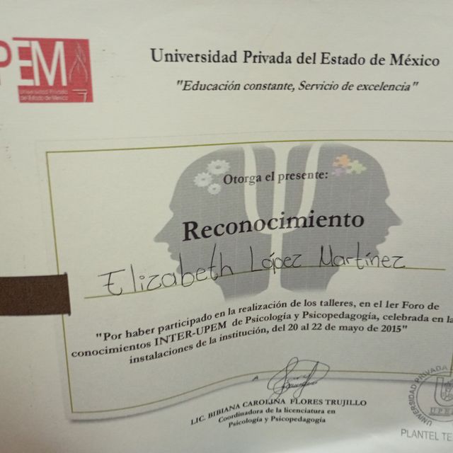 Ampliar imagen: certificate 8