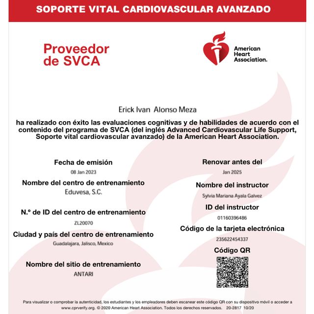 Ampliar imagen: certificate 2