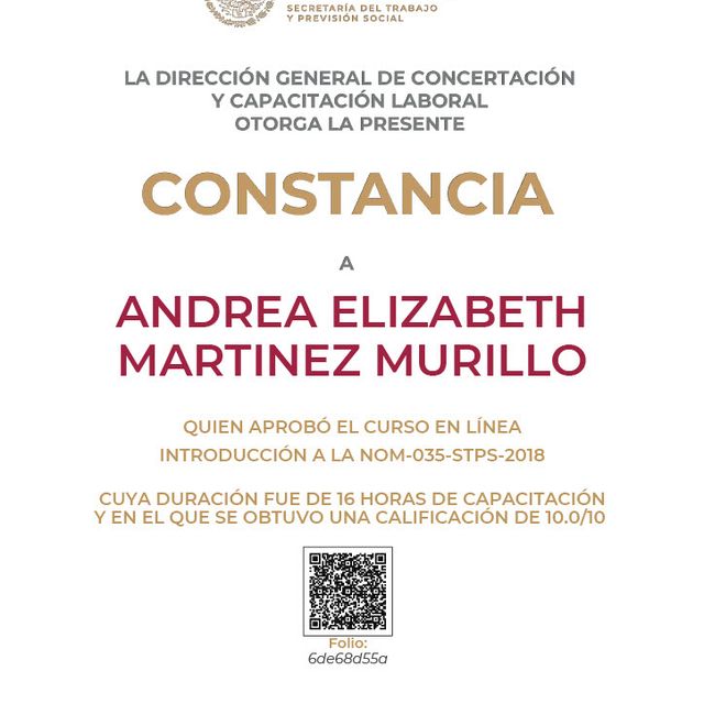 Ampliar imagen: certificate 45