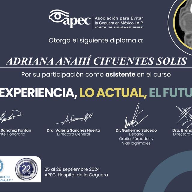 Ampliar imagen: certificate 2