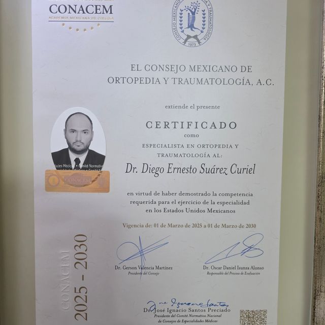 Ampliar imagen: certificate 1