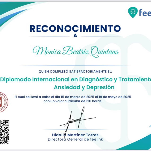 Ampliar imagen: certificate 3