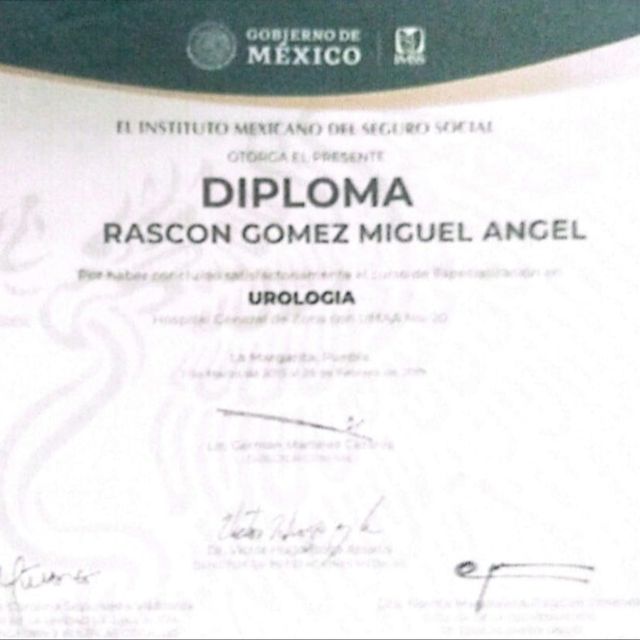 Ampliar imagen: certificate 4
