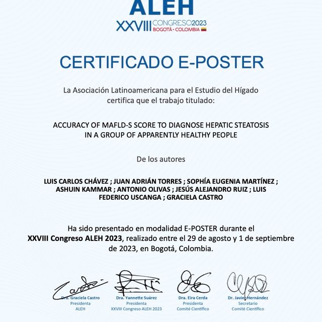 Ampliar imagen: certificate 8