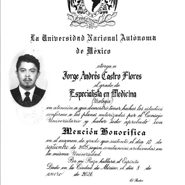 Ampliar imagen: certificate 4
