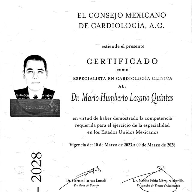 Ampliar imagen: certificate 5