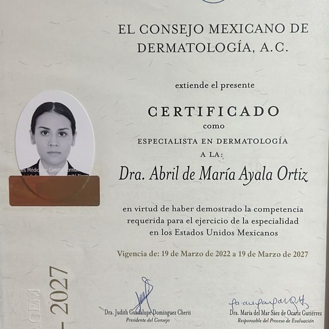 Ampliar imagen: certificate 2