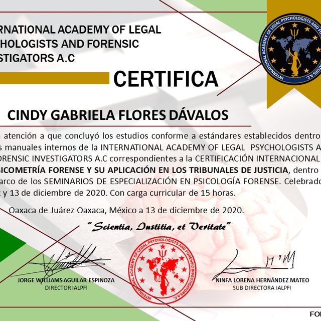 Ampliar imagen: certificate 7
