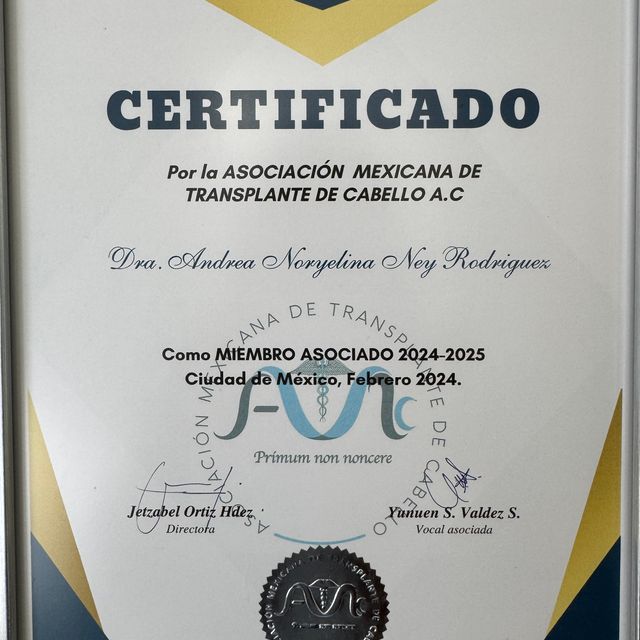 Ampliar imagen: certificate 3