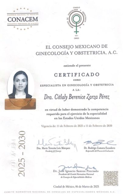 Ampliar imagen: certificate 1
