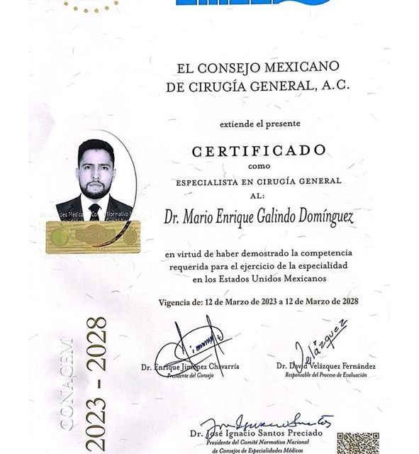 Ampliar imagen: certificate 1