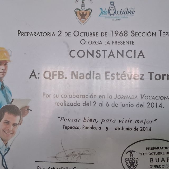 Ampliar imagen: certificate 2