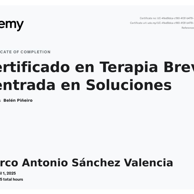 Ampliar imagen: certificate 1