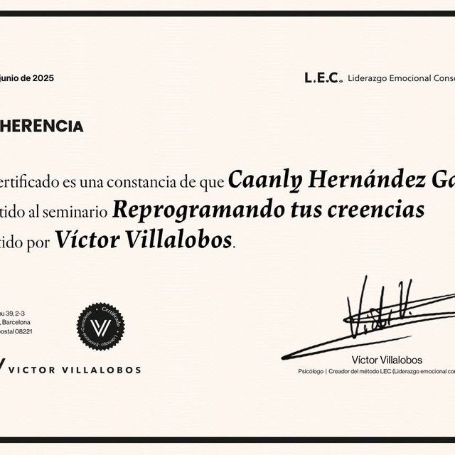 Ampliar imagen: certificate 7