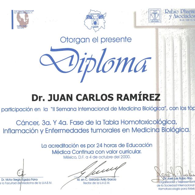 Ampliar imagen: certificate 28