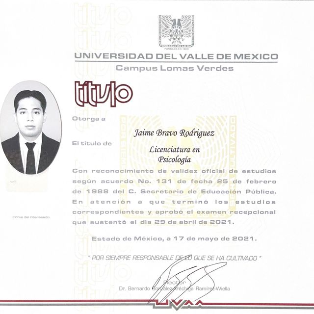 Ampliar imagen: certificate 5