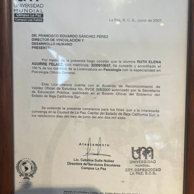 Ampliar imagen: certificate 5