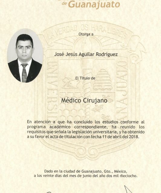 Ampliar imagen: certificate 7