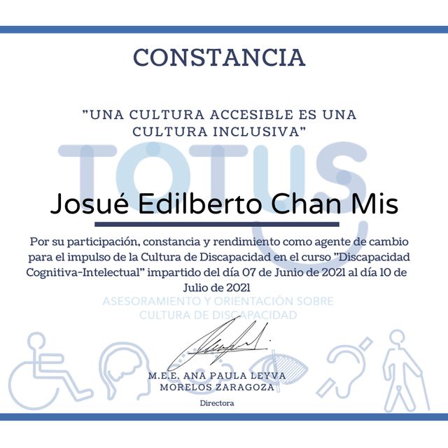 Ampliar imagen: certificate 7