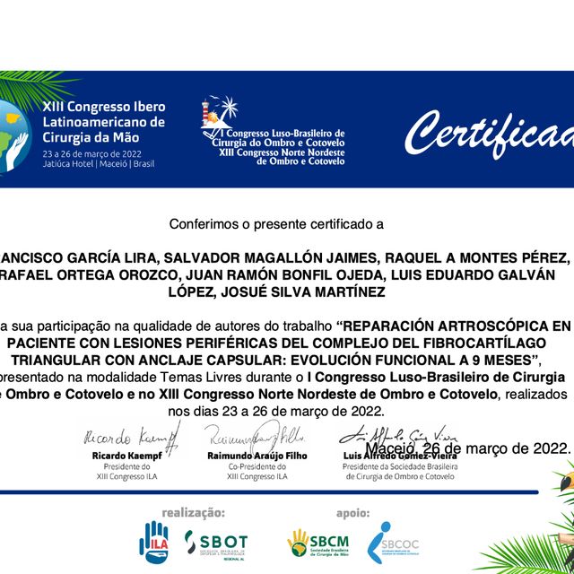 Ampliar imagen: certificate 8