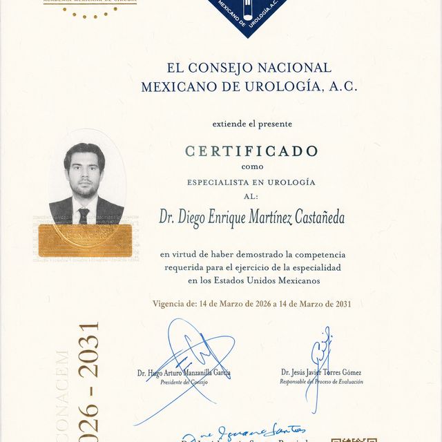 Ampliar imagen: certificate 3