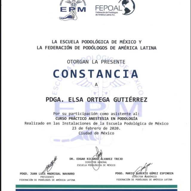 Ampliar imagen: certificate 5