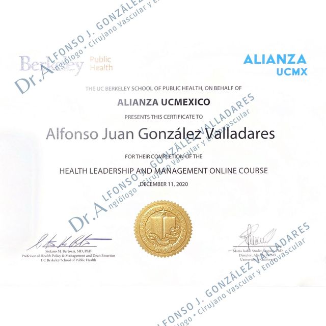 Ampliar imagen: certificate 6