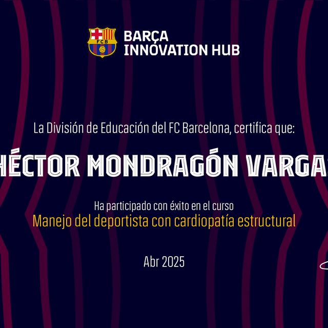 Ampliar imagen: certificate 3