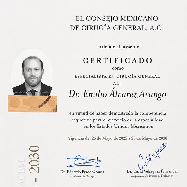 Ampliar imagen: certificate 1