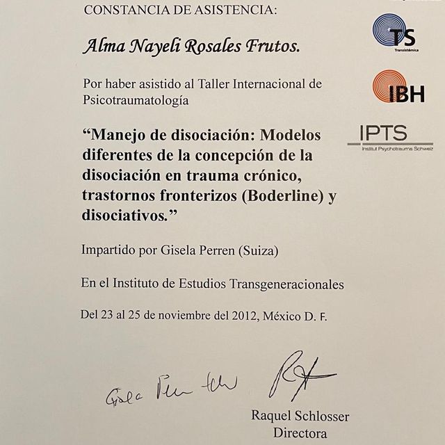 Ampliar imagen: certificate 3