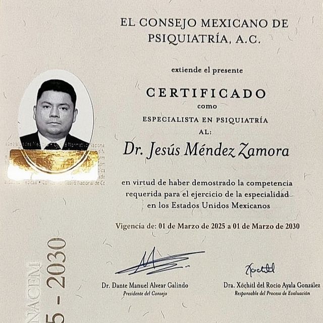 Ampliar imagen: certificate 1