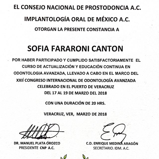 Ampliar imagen: certificate 3
