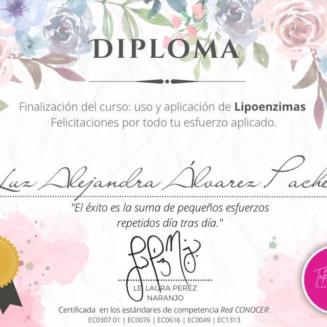 Ampliar imagen: certificate 6