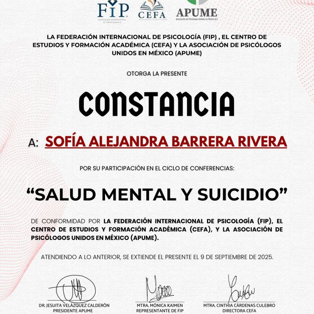 Ampliar imagen: certificate 1