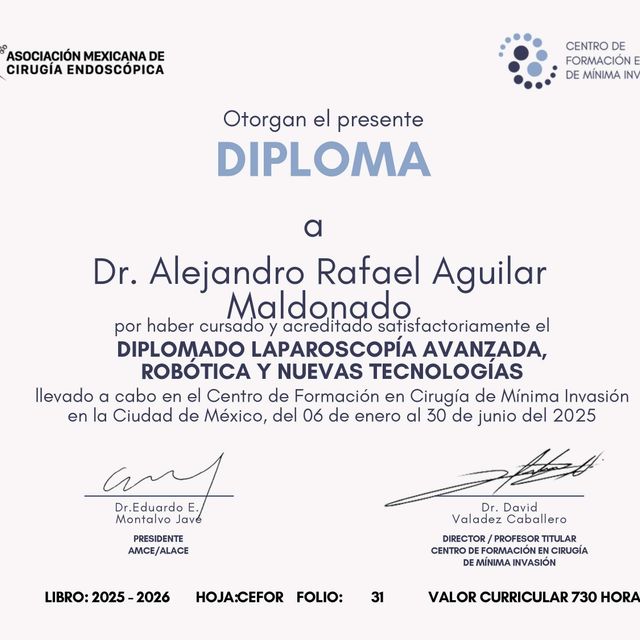 Ampliar imagen: certificate 2